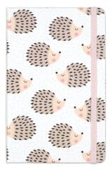 Matt Notebook 2'li Defter Seti 13x21 Lastikli Çizgili