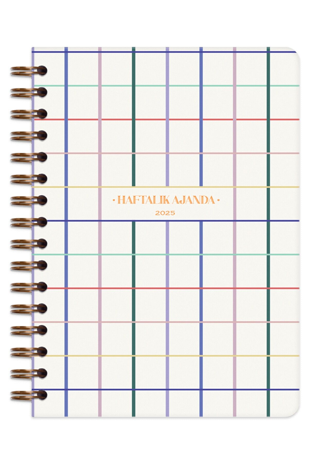Matt Notebook 2025 Yılı A5 Ajanda Spiralli 15x21 cm - 12 Aylık