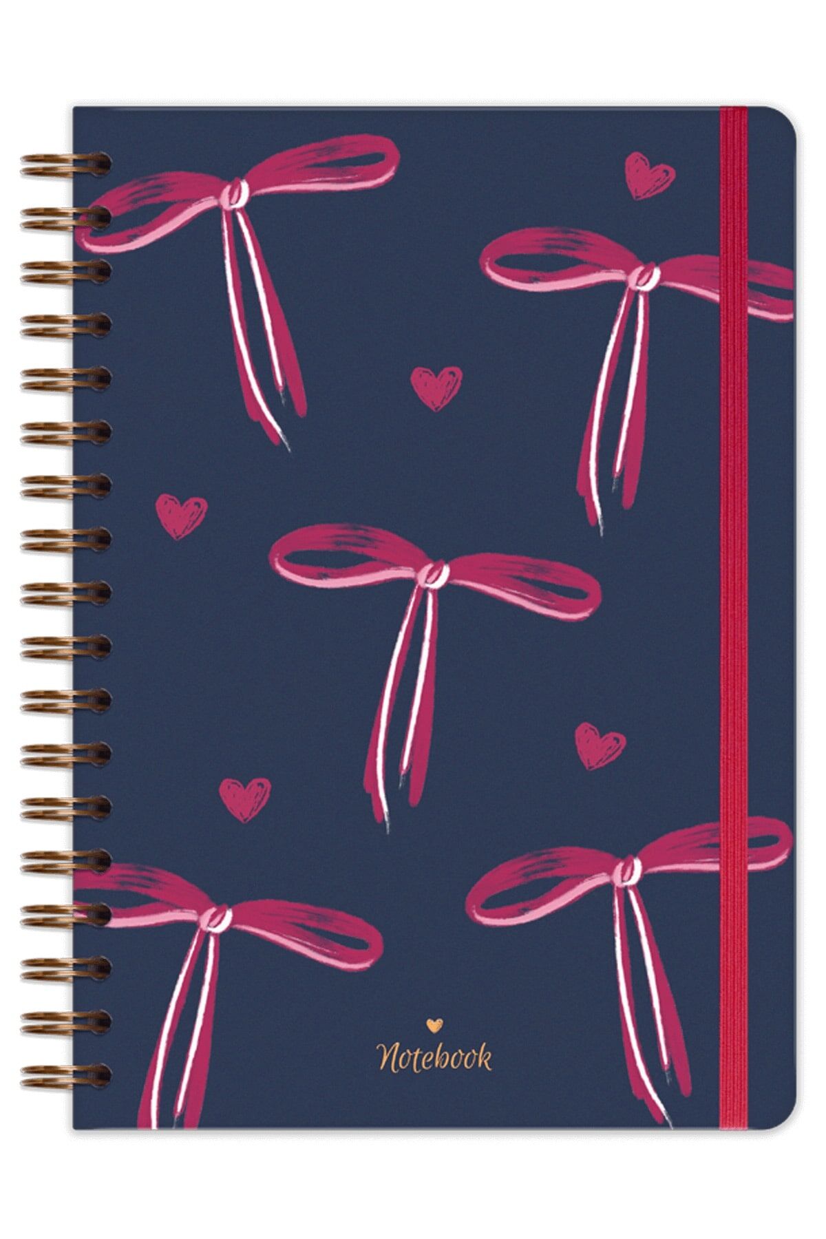 Matt Notebook B5 17x24 cm Spiralli Lastikli Çizgili Tarihsiz Not Defteri Fiyonk