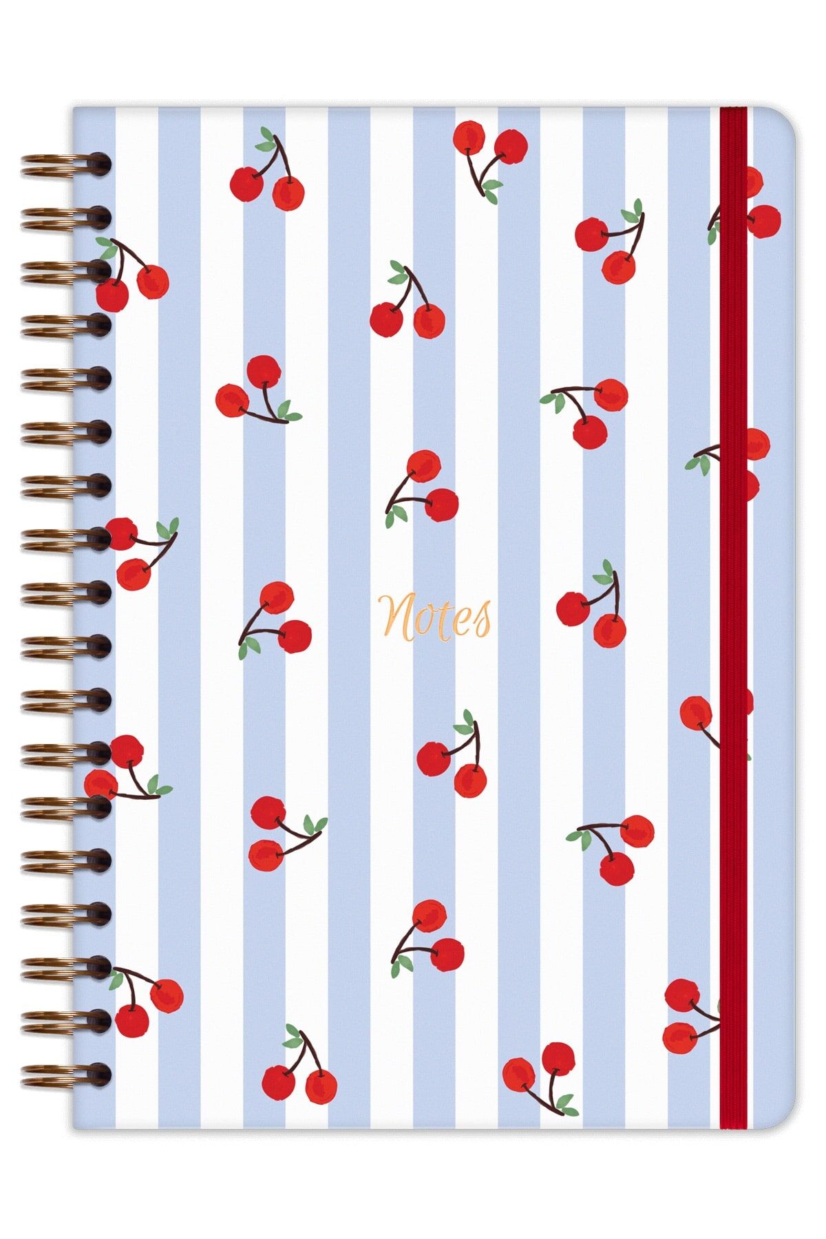 Matt Notebook B5 17x24 cm Spiralli Lastikli Çizgili Tarihsiz Not Defteri Kiraz
