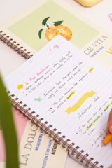 A5 Spiralli Okul Defteri 80 yaprak 4'lü Set - Çizgili