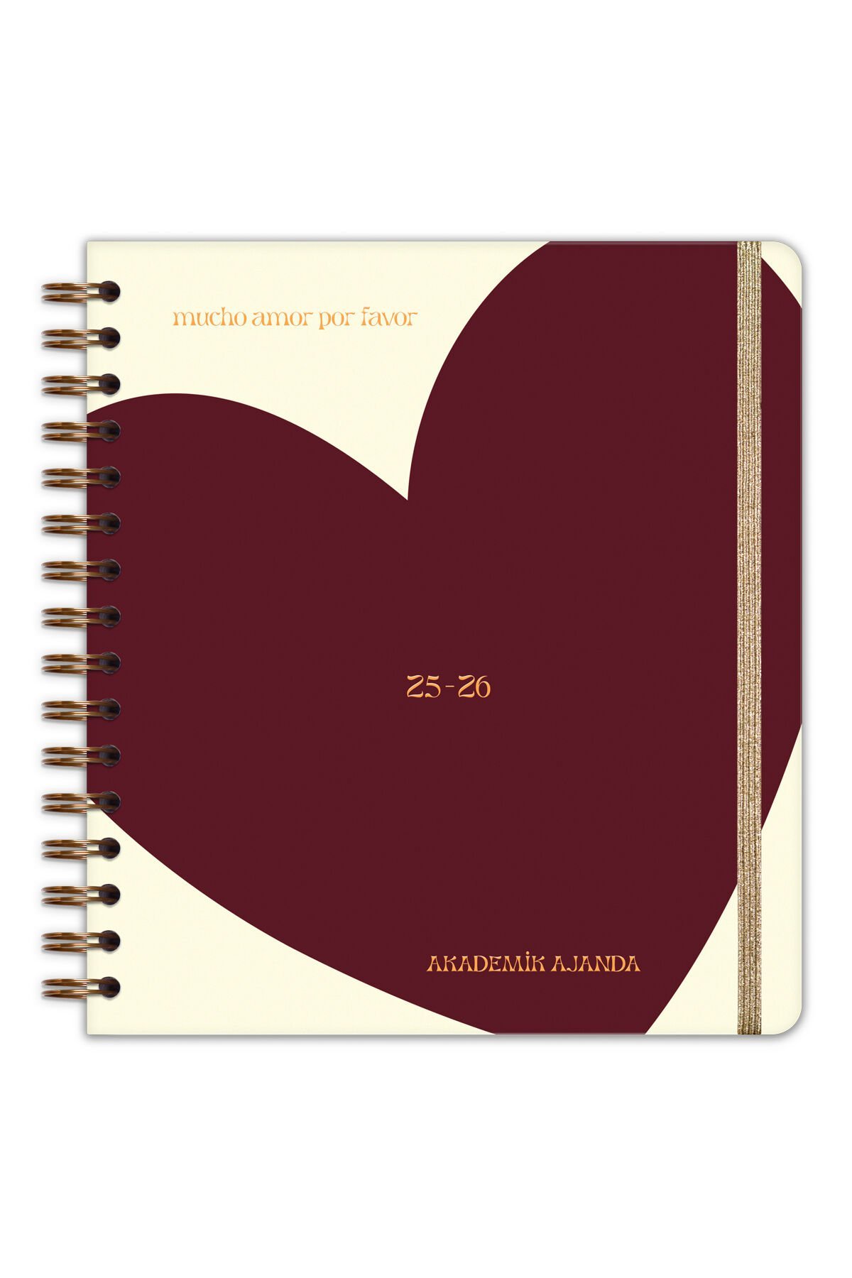 Matt Notebook 2025-2026 Akademik Kare Ajanda Spiralli - 17 Aylık Kalp