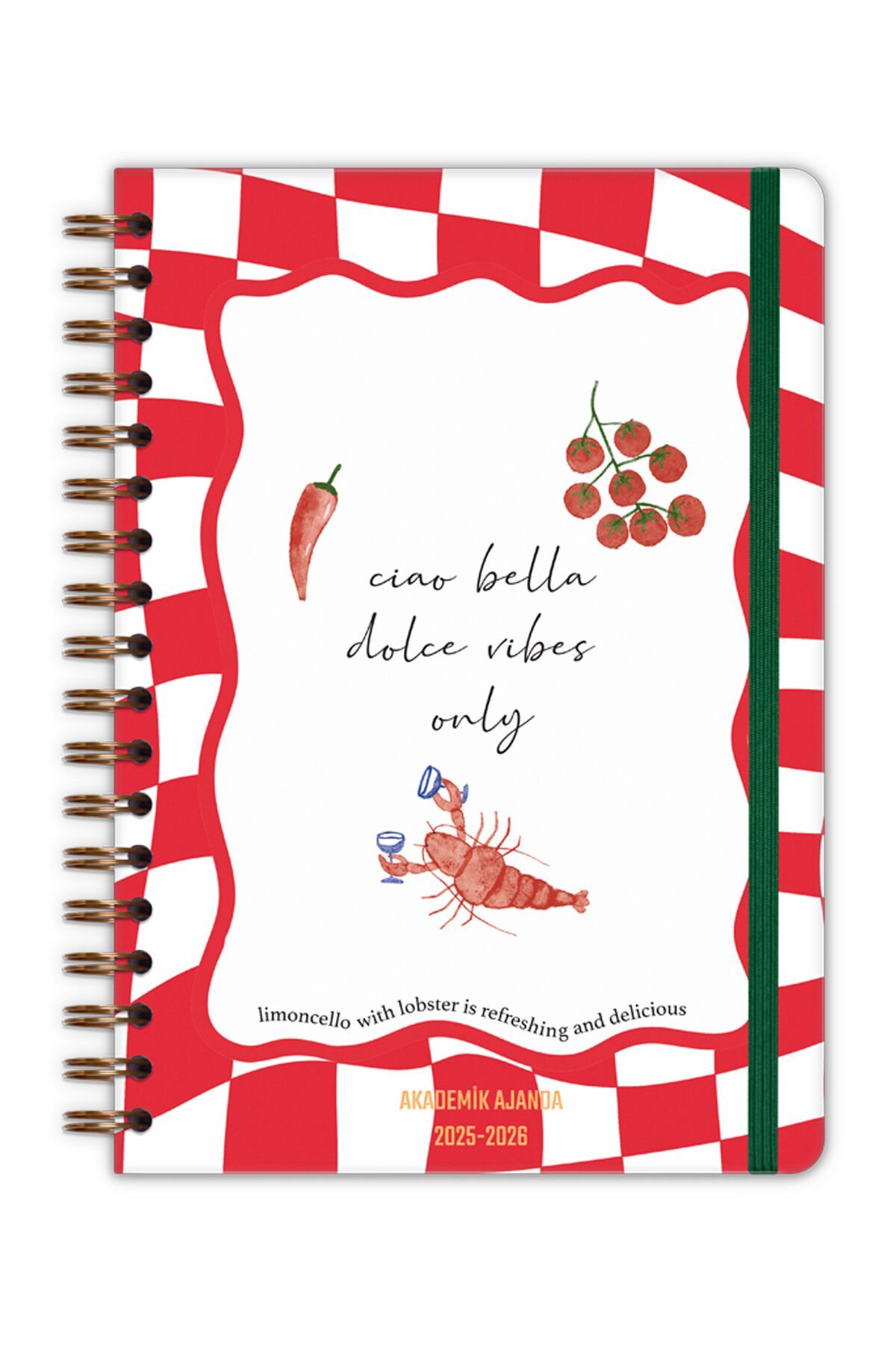 Matt Notebook 2025-2026 Akademik Ajanda Spiralli 17x24 cm - 17 Aylık