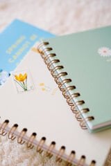 Matt Notebook 15x15 cm Kare 2'li Set Spiralli Çizgili Tarihsiz Not Defteri Papatya